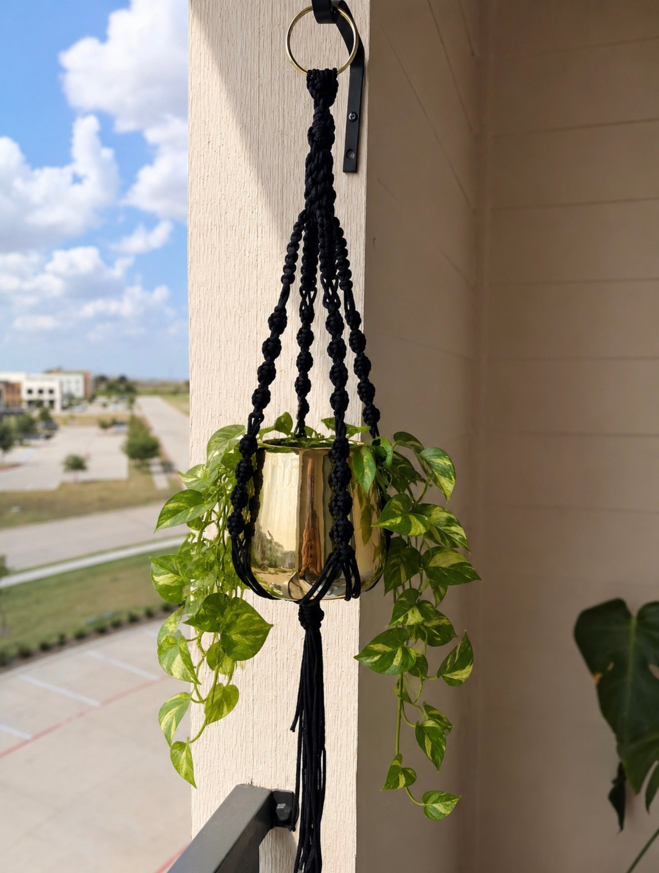 Petite Elegance Plant Hanger