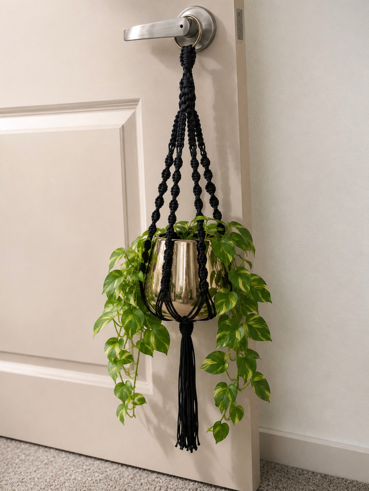Petite Elegance Plant Hanger