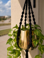 Petite Elegance Plant Hanger