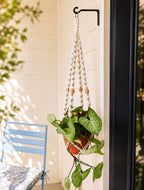 Simplicity Plant Hanger
