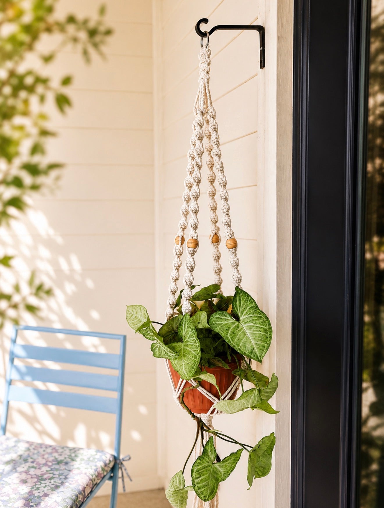 Simplicity Plant Hanger